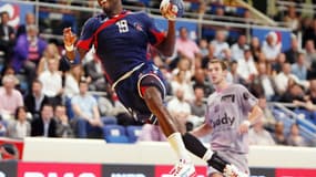 Luc Abalo