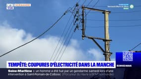 Tempête Gérard: encore 15.000 foyers privés d'électricité en Normandie notamment dans la Manche