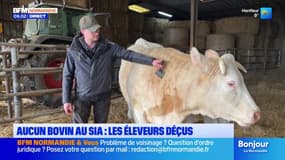 Aucun bovin au Salon de l’Agriculture 2026, les éleveurs normands déçus