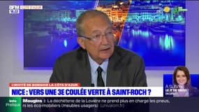 Nice: pour Richard Chemla, "la végétalisation, c'est une assurance-vie"