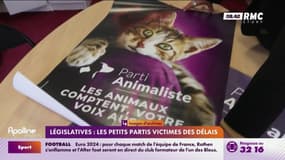 Législatives : les petits partis victimes des délais