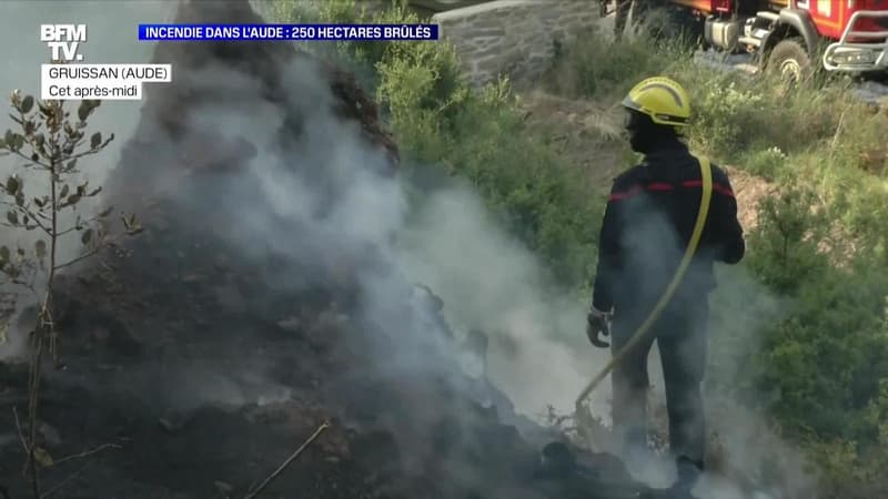 Incendies dans l'Aude: 250 hectares brûlés - 03/07