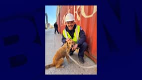 Connie, une chienne sauvée par les gardes-côtes du port de Houston le 31 janvier 2023