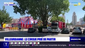 Villeurbanne: le cirque installé illégalement prié de partir 