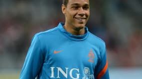 Gregory Van der Wiel