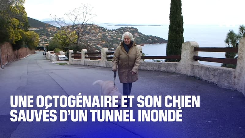 Alpes-Maritimes: une octogénaire et son chien sauvés d'un tunnel inondé, par un habitant du quartier