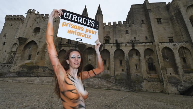 La mannequin brésilienne Julianna Marques a manifesté nue à Avignon, dans le Vaucluse, le 11 février 2017, pour défendre les animaux. 