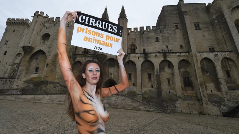 La mannequin brésilienne Julianna Marques a manifesté nue à Avignon, dans le Vaucluse, le 11 février 2017, pour défendre les animaux.