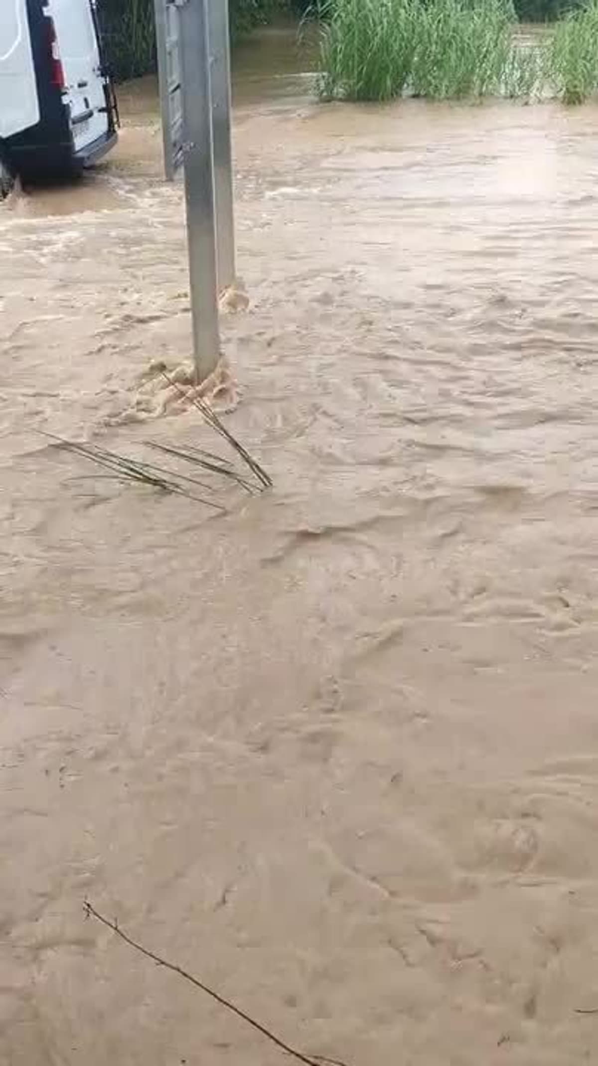 placeholder video