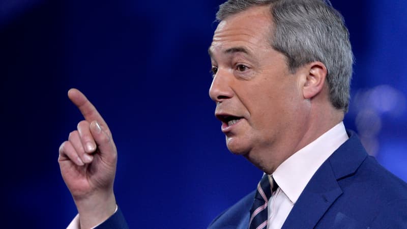 Nigel Farage, en février 2017.