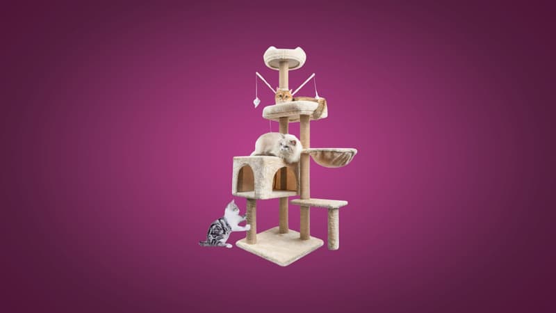 Cet arbre à chat à petit prix chez Amazon ne va pas laisser vos chats indifférents !