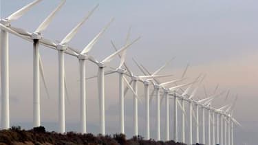 Le ministre de l'Ecologie, Jean-Louis Borloo, a appelé les députés au consensus sur le projet de loi Grenelle II alors que les partisans de l'énergie éolienne parlent d'un "arrêt de mort" pour cette activité. /Photo d'archives/REUTERS/Jean-Paul Pélissier