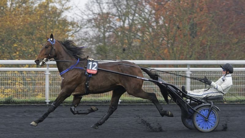 Etonnant est l'un des favoris du Prix d'Amérique 2022