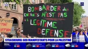 Strasbourg: 600 manifestants réunis en soutien à la Palestine