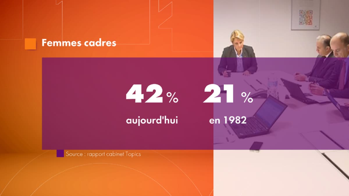 Statistique du taux de femmes cadres en France Statistique du taux de femmes cadres en France