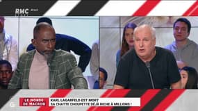 #Lagarfeld - Sa chatte Choupette millionnaire, pour @etienneliebig cet engouement délirant pour les animaux est absurde "On est prêt à mieux donner à bouffer à des animaux qu'à des enfants !" #GGRMC 