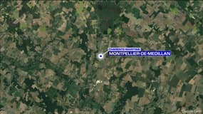 Un enfant a été grièvement blessé par la chute d'un arbre en Charente-Maritime le 2 août 2023