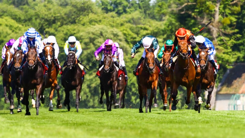 17 flèches au départ du Qatar Prix de l'Arc de Triomphe 2025