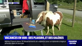 Vacances en van: quelques contraintes pour profiter de la vie au grand air 