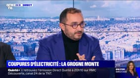 Coupures d'électricité: "Les préconisations du gouvernement frisent l'amateurisme", assure Stéphane Manigold 