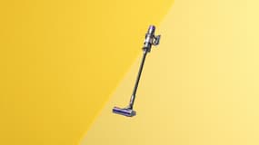 Dyson V11 : prix cassé sur le site officiel Dyson
