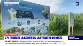 L'été chez nous: trouvez la sortie du labyrinthe de maïs en Seine-et-Marne