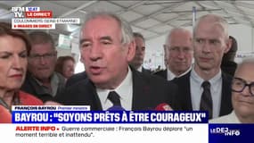 Affaire Bétharram: "Jamais je ne suis intervenu", affirme François Bayrou 