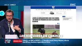 « Les 3 histoires de Charles Magnien » : Joe Biden va adopter un chat à la Maison Blanche, et Julie Niergot ouvre la première école de sirènes du Morbihan - 03/05