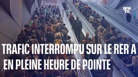  À Paris, l'interruption du trafic sur le RER A en pleine heure de pointe ce lundi matin provoque des marées humaines 