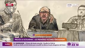 Procès de Joël Le Scouarnec: les premières des 299 victimes du chirurgien témoignent