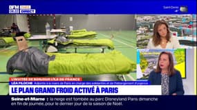 Paris: le plan grand froid activé dans la capitale