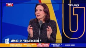 Viandes : "80% des poulets sont élevés en batterie ! C'est ça votre vision de l'animal ?!"