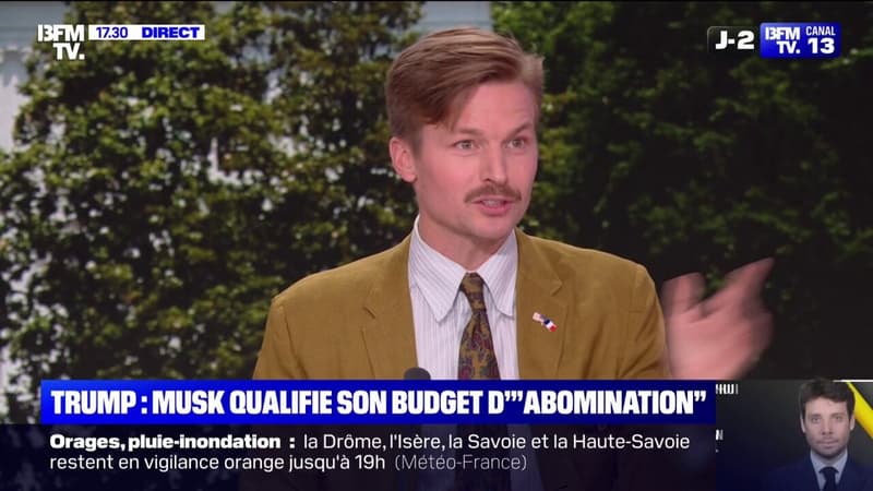 Critiques d'Elon Musk sur le budget de Donald Trump: 