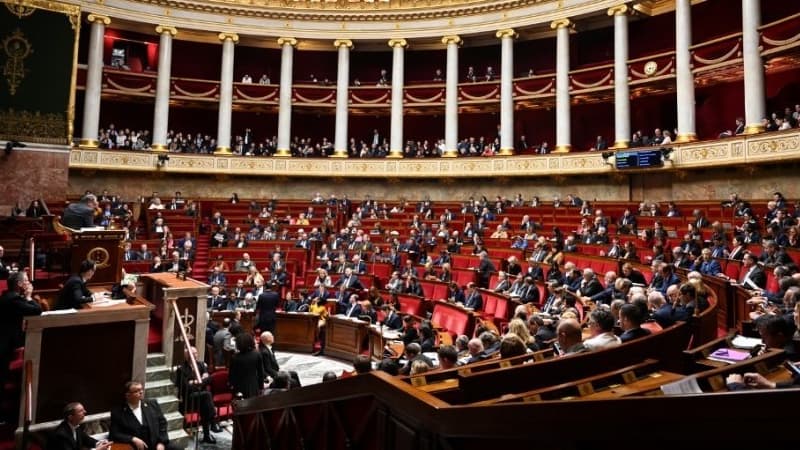 L'Assemblée nationale. (Photo d'illustration)