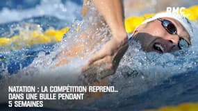 Natation : La compétition reprend... dans une bulle pendant 5 semaines
