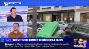 Grève : Paris, capitale des déchets - 12/03