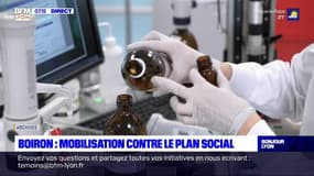 Plan social chez Boiron: "une baisse de notre activité de plus de 20% depuis deux ans", selon la direction