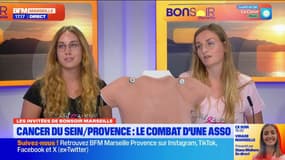 Cancer du sein: le combat de l'association T'Hâtez-vous en Provence