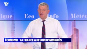 Économie : la France a besoin d'immigrés - 10/11