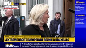 Ukraine: Marine Le Pen estime que la présidente de la Commission européenne "fait tout pour que cette paix n'arrive pas"