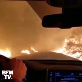 Incendies en Californie: ils racontent leur traversée des flammes