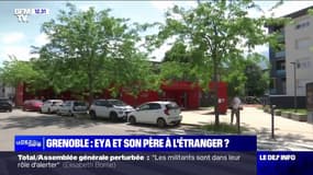 Enlèvement d'Eya: la piste d'un départ à l'étranger privilégiée par le procureur de Grenoble