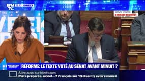 Réforme des retraites: le texte voté au Sénat avant minuit ? - 11/03