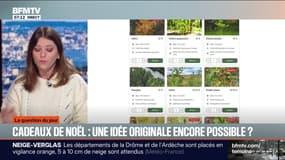 En panne d'idées cadeaux pour Noël? Voici des idées originales pour faire plaisir à vos proches