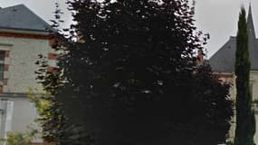 La maire de Sainte-Savine, dans l'Aube.