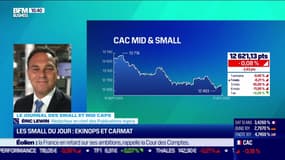 Les marchés et vous : Ekinops et Carmat, les Small du jour - 17/10 