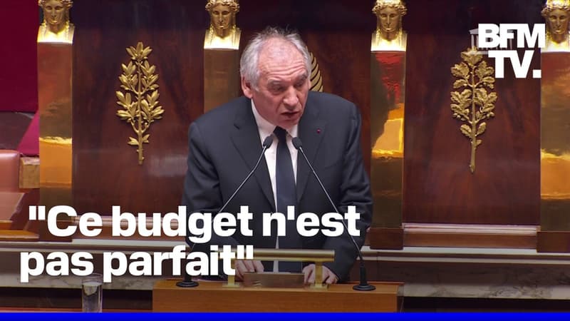 Vote du budget: François Bayrou recourt à l'article 49.3 pour la première fois