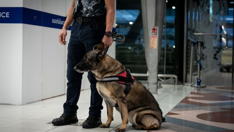 Onze Français détenus en Thaïlande depuis le début de l'été pour trafic de drogues