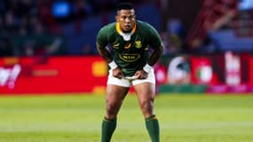 Elton Jantjies avec l'Afrique du Sud.