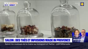 Salon-de-Provence: à la découverte de thés et infusions made in Provence